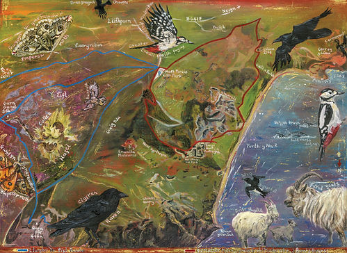 Aberdaron Wildlife Safari