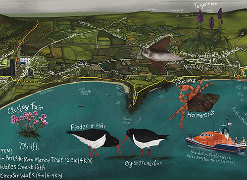 Nant Gwrtheyrn Wildlife Safari 