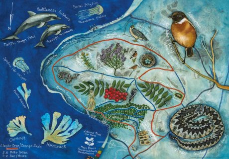 Saffari bywyd gwyllt Llanbedrog