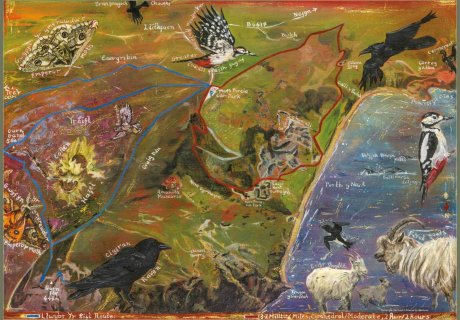 Saffari bywyd gwyllt Nant Gwrtheyrn