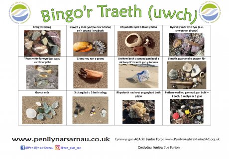 Beach bingo advanced