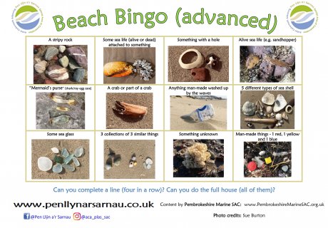 Beach bingo advanced
