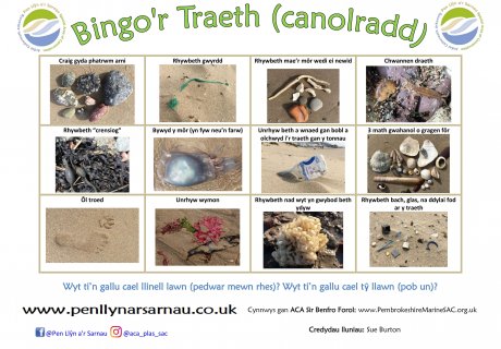 Beach bingo intermediate