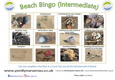 Beach bingo intermediate