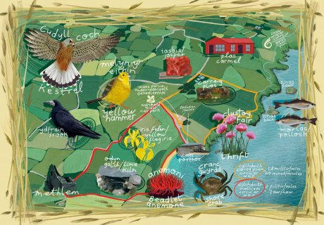 Saffari bywyd gwyllt Porthor