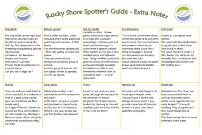 Rocky Shore Spotter’s Guide Extra Notes